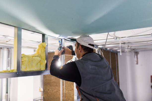 Best Eco-Friendly Insulation in Fort Morgan, CO